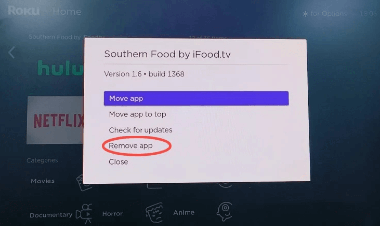 Why Is My Roku TV So Slow? 15 Proven Fixes to Make It Fast 9 Why Is My Roku TV So Slow 15 Proven Fixes to Make It Fast (2)